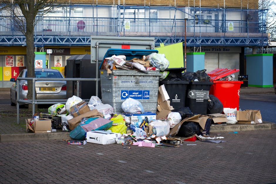 In the image, a collection of discarded household rubbish is stacked on a paved driveway adjacent to a low brick wall and a garden area with green grass and shrubs. The rubbish includes various items 